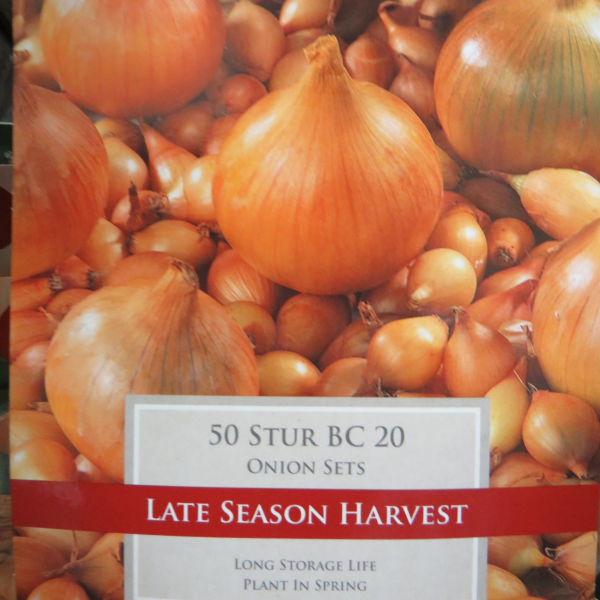 Onions, Shallots and Garlic