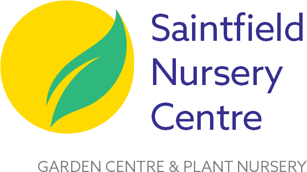 Saintfield Nursey Centre