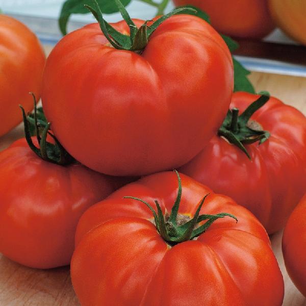 Tomato St Pierre (100 Seeds)