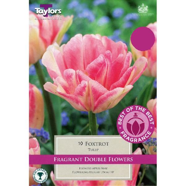 Foxtrot Tulip (10)