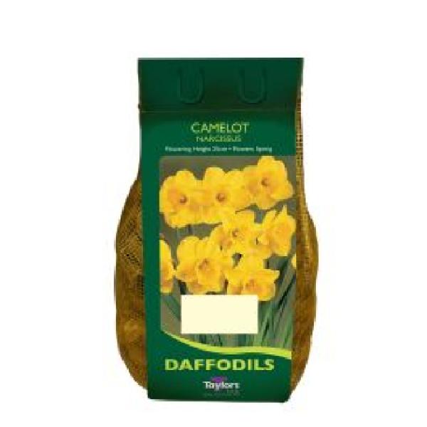 Narcissus Camelot 1.5kg