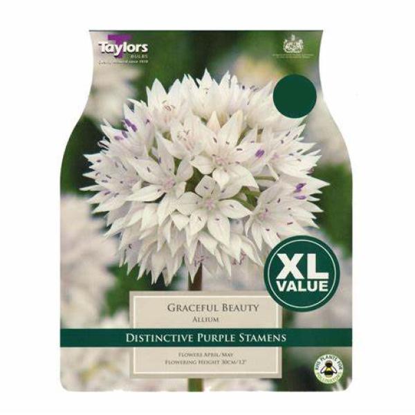 Allium Graceful beauty (15)