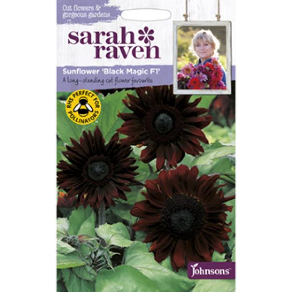 Sarah Raven Sunflower Black Magic F1 (20 Seeds)