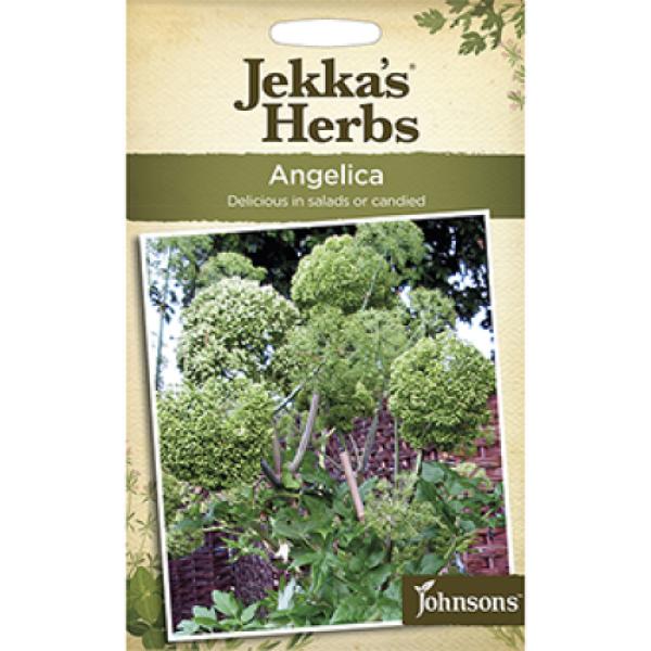 Jekkas Herbs Angelica (30 Seeds)