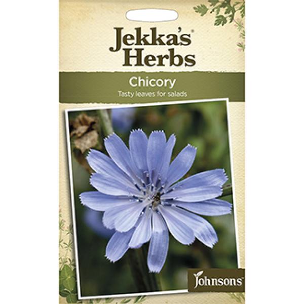 Jekkas Herbs Chicory (140 Seeds)