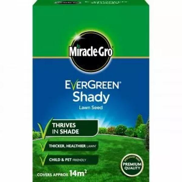 Evergreen Shady Lawn Seed (covers 14m2)