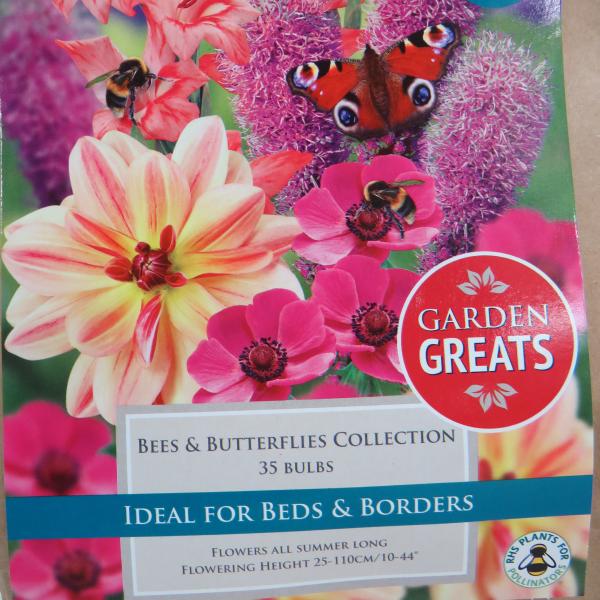 Bees and Butterfly Collections (35) 