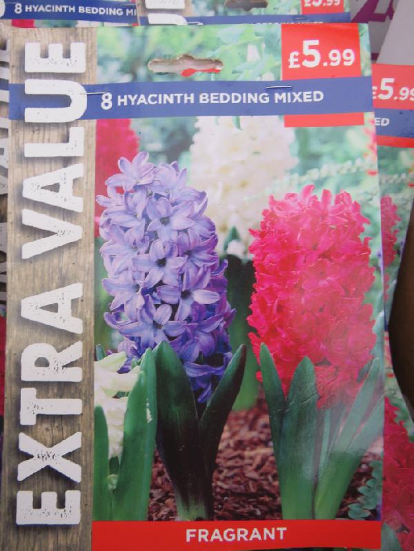 Hyacinth Mix 
