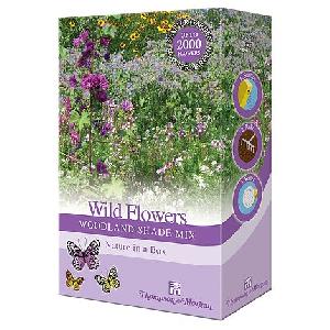 Wildflowers Woodland Shade Mix