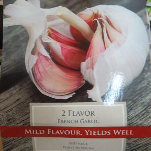 Garlic Flavor (2)